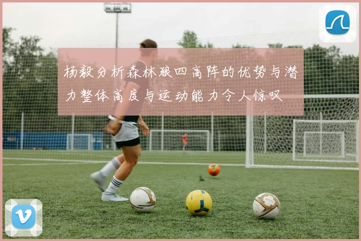 杨毅分析森林狼四高阵的优势与潜力整体高度与运动能力令人惊叹