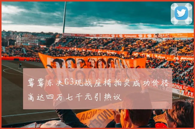 霉霉东决G3观战座椅拍卖成功价格高达四万七千元引热议
